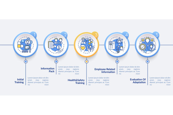 Evaluating the Traineeship Vector Infographic Template for Professional Development Content